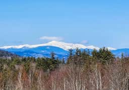 Peak View Cabin | Views | Spacious | 23 Acres - Image 5