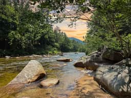 Saco Shores | Private Saco River Getaway w/ Beach - Image 3