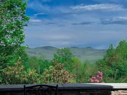 Swiss Alps Chalet in Jackson | Mountain Views + AC - Image 3