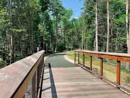 The Hawk Haven | Spacious, Game Room, Trail Access - Image 4