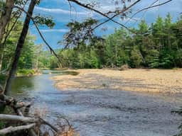 The Riverwood | Brand New Log Cabin | River Access - Image 5