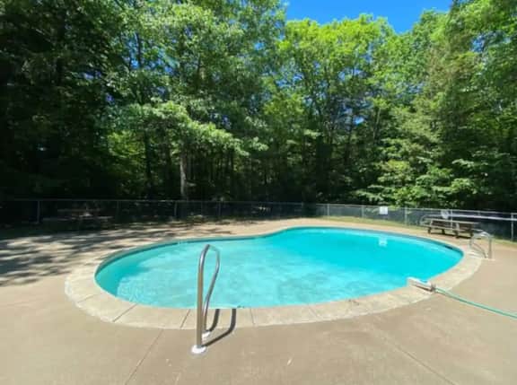 Pine Top Lodge | Spacious Family Home with a Pool! - Image 3