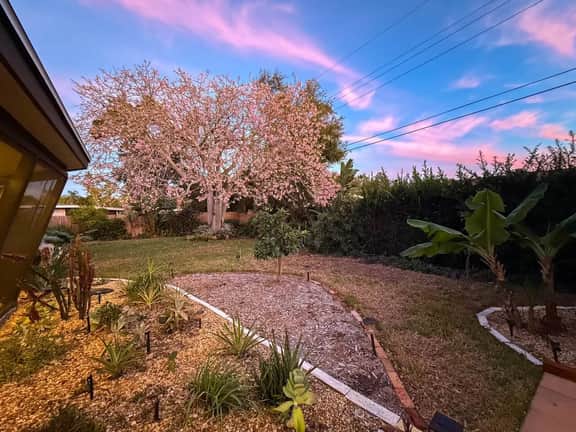 Siesta Gardens | Outdoor Oasis, Game Room, Central - Image 4